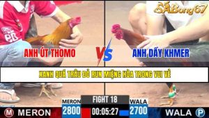 TRẬN 18 CPC3 3/5/2025