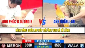 TRẬN 18 CPC3 7/5/2025