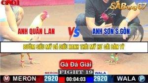 TRẬN 19 C1 15/5/2025