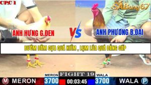 TRẬN 19 C1 22/05/2025