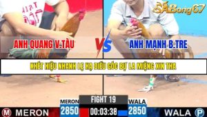 TRẬN 19 C3 18/5/2025
