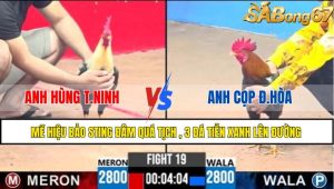 TRẬN 19 C3 26/05/2025