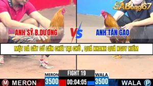 TRẬN 19 C3 31/5/2025