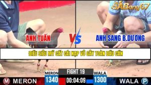 TRẬN 19 CPC1 10/5/2025
