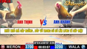 TRẬN 19 CPC1 6/5/2025