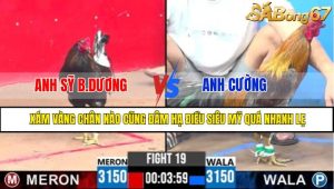 TRẬN 19 CPC3 11/5/2025