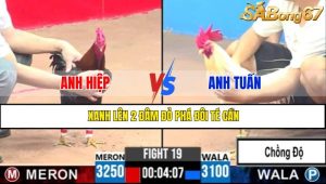 TRẬN 19 CPC3 5/5/2025