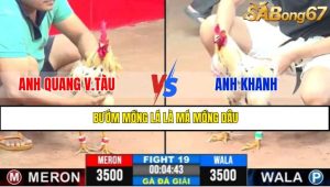 TRẬN 19 CPC3 7/5/2025