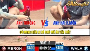 TRẬN 19 CPC3 9/5/2025