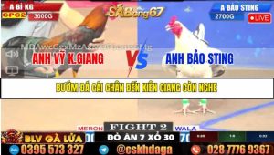 TRẬN 2 C2 16/5/2025