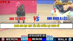 TRẬN 2 CPC2 4/5/2025