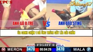 TRẬN 2 CPC2 9/5/2025