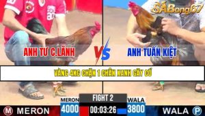 TRẬN 2 CPC3 5/5/2025