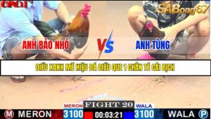 TRẬN 20 C1 17/5/2025
