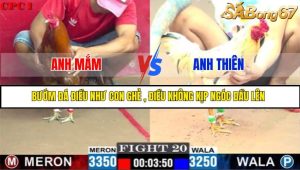TRẬN 20 C1 22/05/2025
