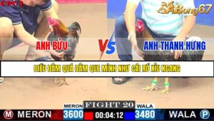 TRẬN 20 C1 29/05/2025