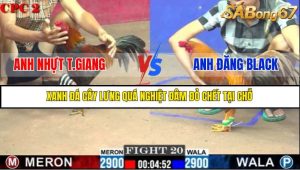 TRẬN 20 C2 23/05/2025