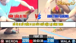 TRẬN 20 C3 25/05/2025