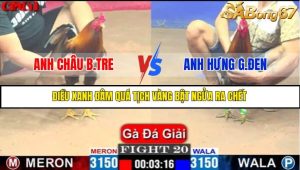 TRẬN 20 CPC1 15/5/2025