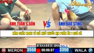TRẬN 20 CPC2 4/5/2025
