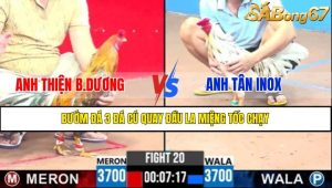 TRẬN 20 CPC3 12/5/2025