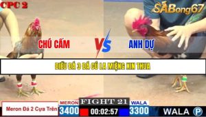 TRẬN 21 C2 16/5/2025