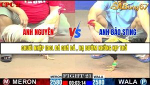 TRẬN 21 C2 23/05/2025