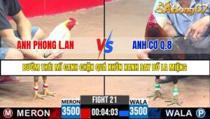 TRẬN 21 C3 17/5/2025