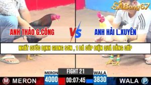 TRẬN 21 C3 18/5/2025