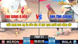 TRẬN 21 C3 25/05/2025