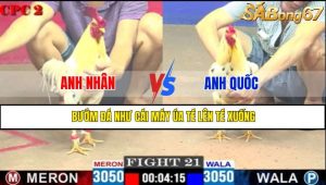 TRẬN 21 CPC2 14/5/2025