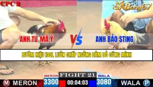 TRẬN 21 CPC2 4/5/2025