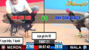 TRẬN 21 C3 30/05/2025
