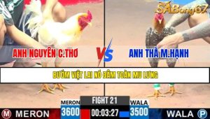 TRẬN 21 CPC3 5/5/2025