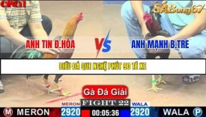 TRẬN 22 C1 15/5/2025