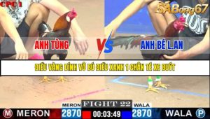 TRẬN 22 C1 29/05/2025