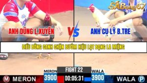 TRẬN 22 C3 18/5/2025
