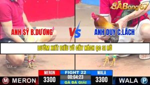 TRẬN 22 C3 31/5/2025