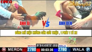 TRẬN 22 CPC1 10/5/2025