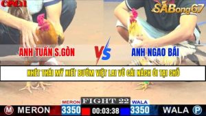 TRẬN 22 CPC1 12/5/2025