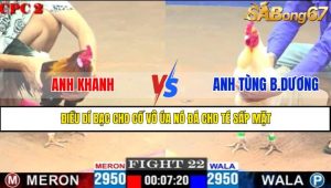 TRẬN 22 CPC2 11/5/2025
