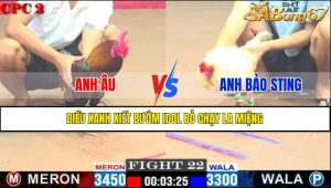 TRẬN 22 CPC2 9/5/2025