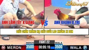 TRẬN 22 CPC3 5/5/2025