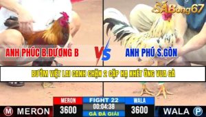 TRẬN 22 CPC3 7/5/2025