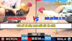 TRẬN 22 CPC3 9/5/2025