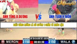 TRẬN 23 C1 29/05/2025