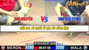 TRẬN 23 C2 16/5/2025