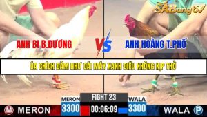 TRẬN 23 C3 18/5/2025
