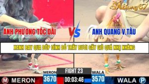 TRẬN 23 C3 23/05/2025