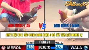 TRẬN 23 C3 26/05/2025
